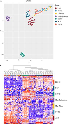 DNA methylation profile discriminates sporadic giant cell granulomas of the jaws and cherubism from their giant cell-rich histological mimics