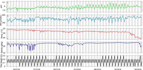 Characterizing Reef Net Metabolism Via the Diel Co-Variation of pH and Dissolved Oxygen From High Resolution in Situ Sensors