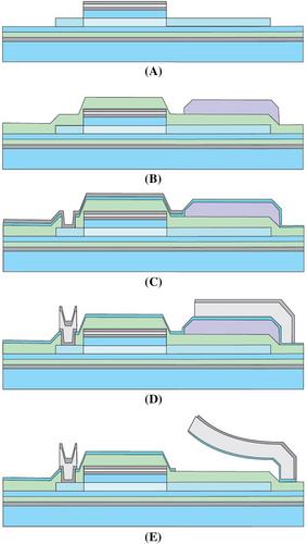 High-performance MEMS shutter display with metal-oxide thin-film transistors and optimized MEMS element