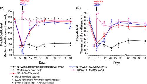 The role of cannabinoid CB1 receptors in the antinociceptive and reparative actions of mesenchymal stem cells in rats with peripheral neuropathic pain