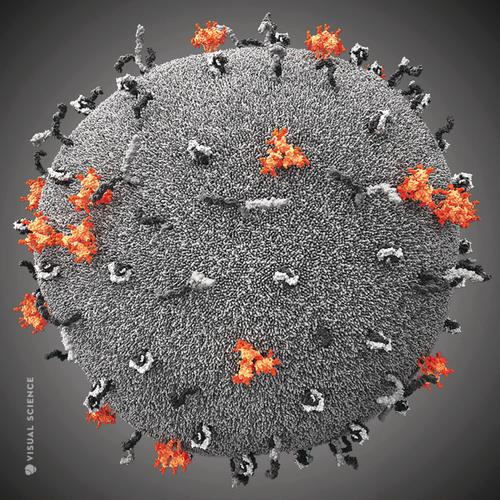 Circulation of Coronavirus Images: Helping Social Distancing?