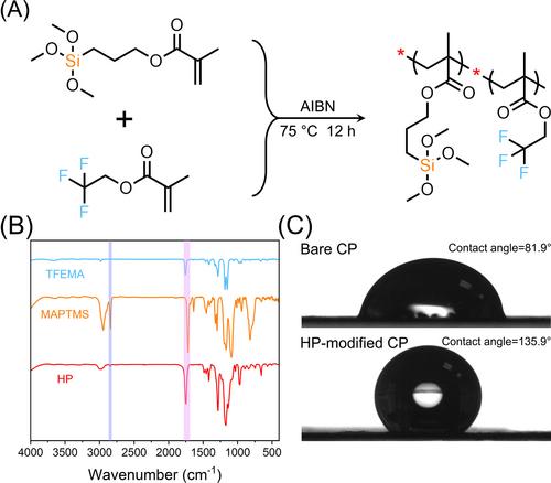 Asymmetric electrode design with built-in nitrogen transfer channel achieving maximized three-phase reaction region for electrochemical ammonia synthesis