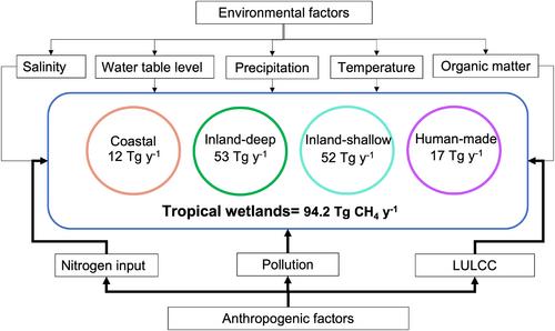 Assessing Methane Emissions From Tropical Wetlands: Uncertainties From Natural Variability and Drivers at the Global Scale