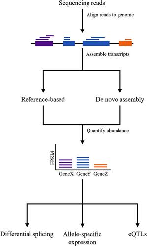 Generative adversarial networks applied to gene expression analysis: An interdisciplinary perspective