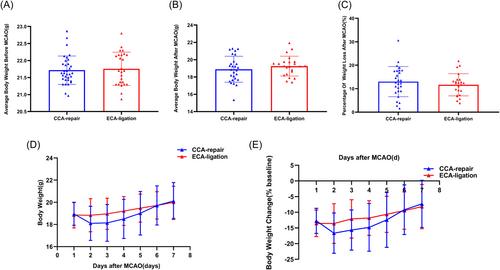 CCA repair or ECA ligation—Which middle cerebral artery occlusion is better in the reperfusion mouse model?