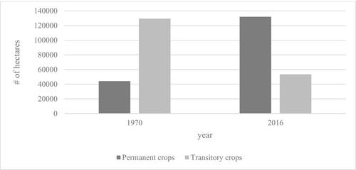 Agrarian change through speculation: Rural elites as land brokers for mining in Colombia