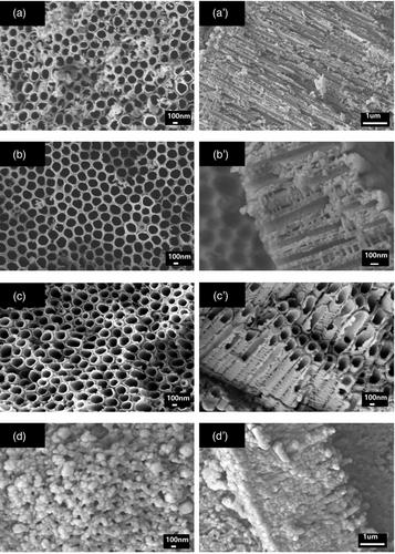 Self-trigger and on-demand drug delivery system based on TiO2 nanotube arrays and its drug release behaviour