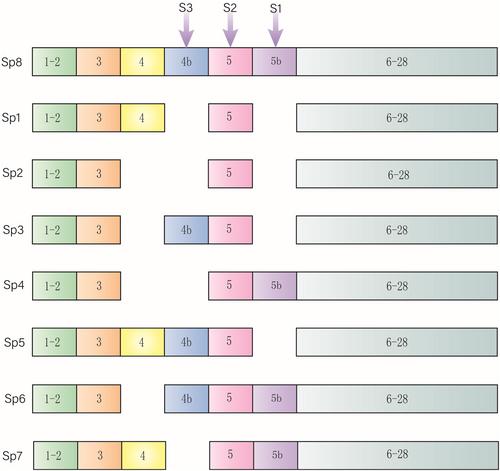 摘要图片