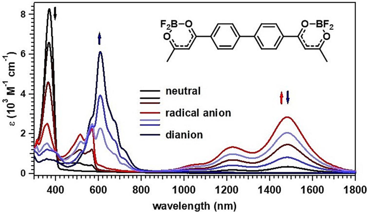 Charge localization in bis(dioxaborine) radical anions