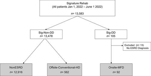 Improved nursing home end-stage renal disease patient participation in physical therapy with onsite, more frequent dialysis