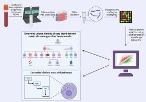 Characterization of human umbilical cord blood-derived mast cells using high-throughput expression profiling and next-generation knowledge discovery platforms