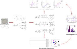 Network formation and differentiation of chitosan–acrylic acid hydrogels using X-ray absorption spectroscopy and multivariate analysis of Fourier transform infrared spectra