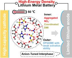 Electrolyte solvation chemistry to construct an anion-tuned interphase for stable high-temperature lithium metal batteries