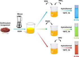 Synthesis of multicolor fluorescent carbon dots from zanthoxylum bungeanum and their application in fluorescent anti-counterfeiting ink