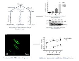 Molecular characterization of methionine aminopeptidase1 from Eimeria tenella