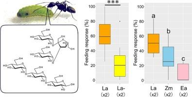 Role of trisaccharides in larval secretion of Lycaeides argyrognomon butterfly on ant attendance