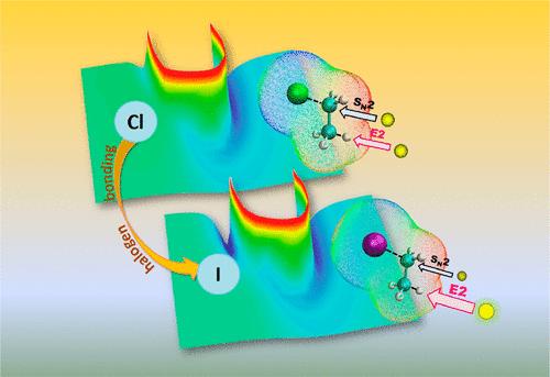 E2/SN2 Selectivity Driven by Reaction Dynamics. Insight into Halogen Bonding