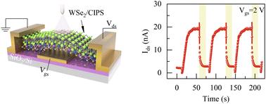 A polar-switchable and controllable negative phototransistor for information encryption