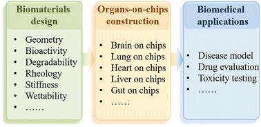 Tailoring biomaterials for biomimetic organs-on-chips