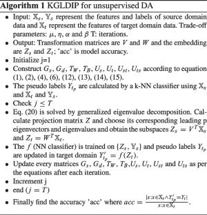 Kernelized global-local discriminant information preservation for unsupervised domain adaptation