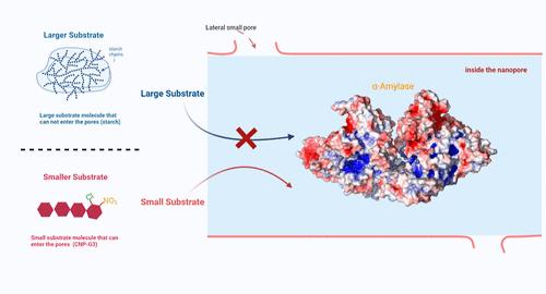 Activity and Stability of Nanoconfined Alpha-Amylase in Mesoporous Silica