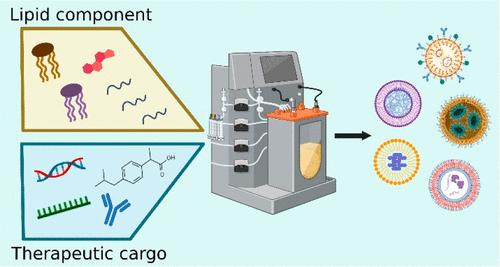 Lipid-Based Nanoparticles for Drug/Gene Delivery: An Overview of the Production Techniques and Difficulties Encountered in Their Industrial Development