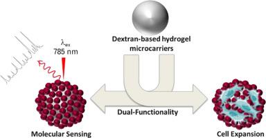 Plasmonic microcarriers for sensing and cell expansion