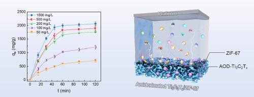 Selective extraction of uranium from seawater on amidoximated MXene/metal-organic framework architecture under an electric field