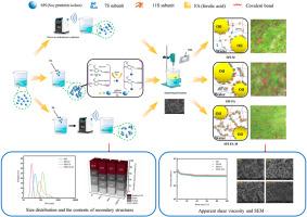 Development and characteristics of emulsion gels with microwave-assisted ferulic acid covalently modified soy protein: Structure, function and digestive properties