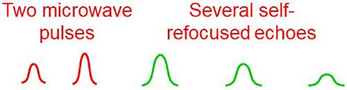 Multiple electron spin resonance echoes observed for paramagnetic defects in diamond at room temperature