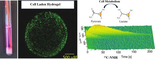 Hyperpolarized 13C NMR for longitudinal in-cell metabolism using a mobile 3D cell culture system