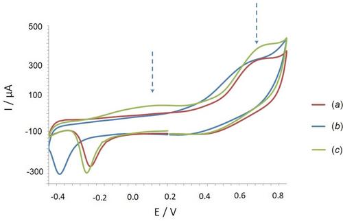 A tandem of GC-MS and electroanalysis for a rapid chemical profiling of bacterial extracellular matrix