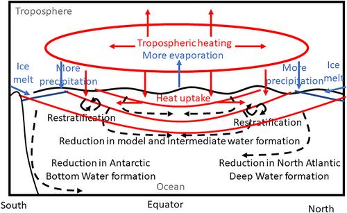 Physical Mechanisms Driving Enhanced Carbon Sequestration by the Biological Pump Under Climate Warming