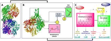 Past, present and future of xanthine oxidase inhibitors: design strategies, structural and pharmacological insights, patents and clinical trials