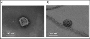 Graphene and Graphene Oxide: A Long Race Horse