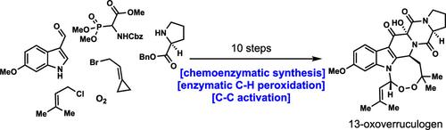 Chemoenzymatic Synthesis of 13-Oxoverruculogen