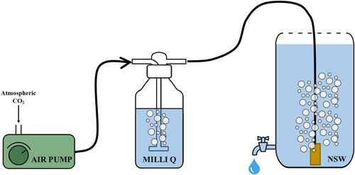 Preparation and quality control of in-house reference materials for marine dissolved inorganic carbon and total alkalinity measurements