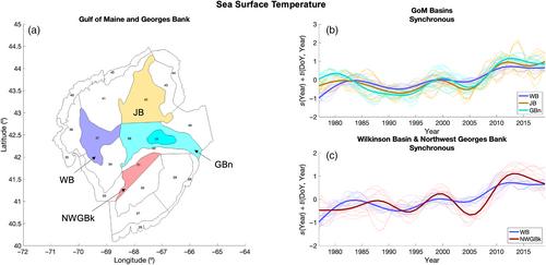 Spatially varying plankton synchrony patterns at seasonal and interannual scales in a well-connected shelf sea