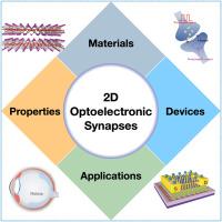 2D-materials-based optoelectronic synapses for neuromorphic applications