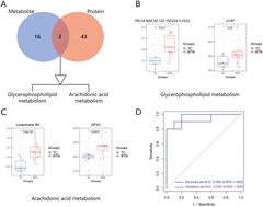 Integrated proteomic and metabolomic analysis of plasma reveals regulatory pathways and key elements in thyroid cancer†