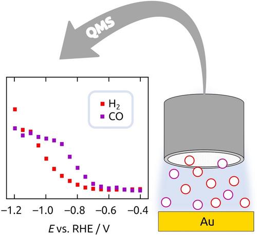 Quantification of CO and Further CO2 Reduction Products by On-line Mass Spectrometry