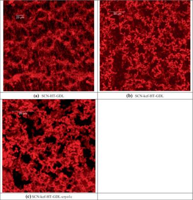 Effect of caseinate salt addition on the structural characteristics of kefiran systems