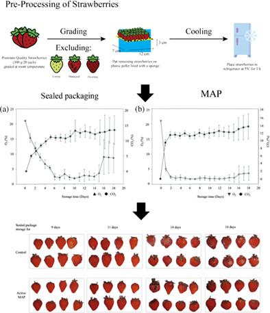 A new strategy to design novel modified atmosphere packaging formulation maintains the qualities of postharvest strawberries (Fragaria ananassa) during low-temperature storage