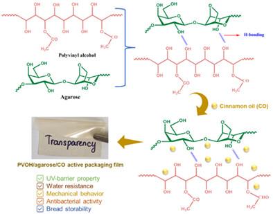 Development and characterization of antibacterial packaging film based on poly (vinyl alcohol)/agarose enriched with cinnamon oil