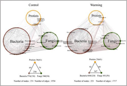 Seasonality regulates the taxonomic and functional compositions of protists responding to climate warming in forest ecosystems