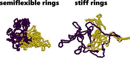 Unraveling the Glass-like Dynamic Heterogeneity in Ring Polymer Melts: From Semiflexible to Stiff Chain