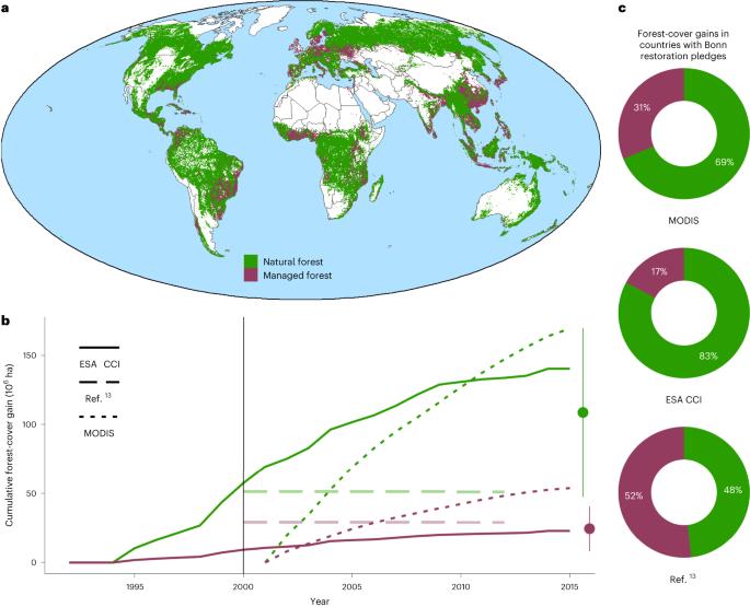 The importance of capturing management in forest restoration targets