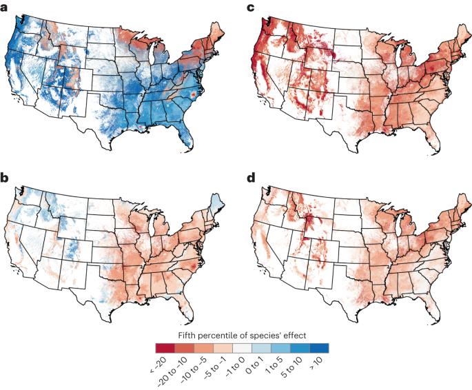 Current US air pollution levels still harm sensitive tree species