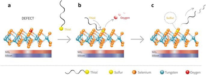 Thiol-based defect healing of WSe2 and WS2