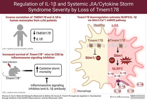 Tmem178 Negatively Regulates IL-1β Production Through Inhibition of the NLRP3 Inflammasome